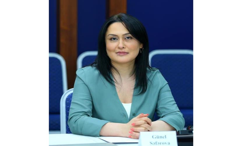 /İbtidai siniflərə qəbul zamanı uşaqlar imtahana cəlb edilmirlər - İctimai Şura sədrindən açıqlama